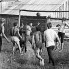 ССО «Механик-71». День строителя. Матч с местной молодежью