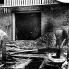 ССО «Механик-71». Трудовые будни